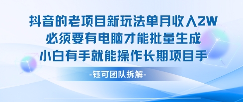 老项目新玩法单月收入2W小白有手就能操作长期项目-第一资源库