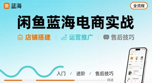 闲鱼蓝海电商实战，店铺搭建运营售后全流程-第一资源库