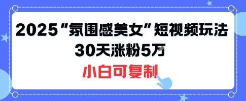 不露脸也能火！2025“氛围感美女”短视频玩法，30天涨粉5W小白可复制-第一资源库