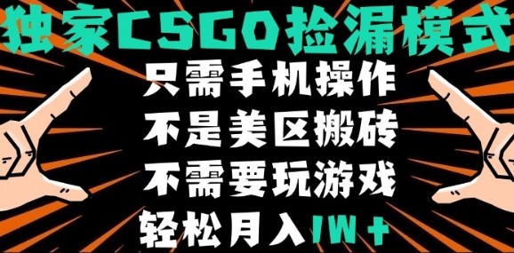 CSGO自动捡漏项目，最新独家玩法，不是美区搬砖，不需要了解和玩游戏，新手小白轻松月入1W+【揭秘】-第一资源库