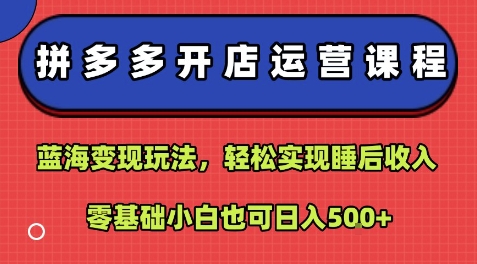 拼多多开店运营课程:蓝海变现玩法,轻松实现睡后收入,零基础小白也可日入5张-第一资源库