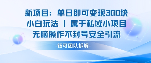 新项目单日即可变现3张的小白玩法无脑操作不封号安全引流-第一资源库
