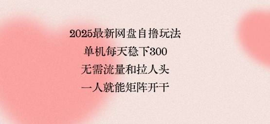 2025最新网盘自撸玩法,单机每天稳下3张,无需流量和拉人头,一个人就可轻松矩阵,全网独一份【揭秘】-第一资源库