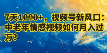 7天收益1k+，视频号新风口：中老年情感视频如何月入过W?-第一资源库