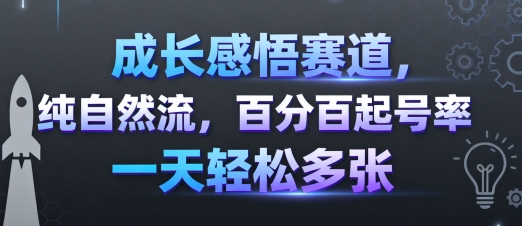 成长感悟赛道,纯自然流,百分百起号率 一天轻松多张-第一资源库