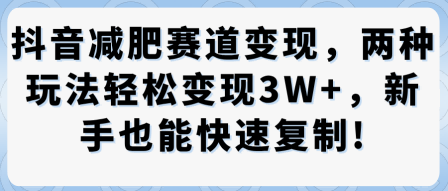 抖音减肥赛道变现,两种玩法轻松变现3W+,新手也能快速复制-第一资源库