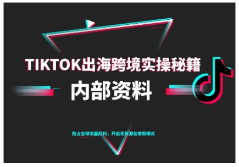 TikTok跨境电商0-1搭建运营，TK出海跨境实操秘籍（10月更新）-第一资源库