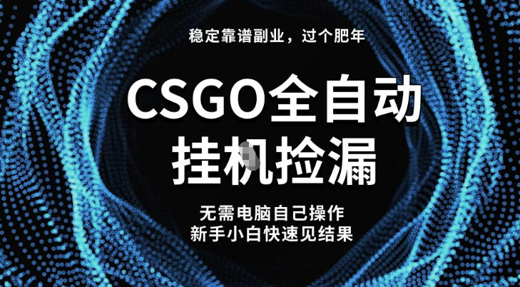 【稳定副业】全球最热门游戏CSGO全自动捡漏,最新玩法,新手小白日入5张+【揭秘】-第一资源库