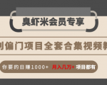 暴利偏门项目全套合集视频教程：你要的日赚1000+月入几万+项目都有-第一资源库