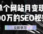 单个网站月变现100万的SEO秘密,百分百做出赚钱站点-第一资源库