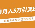老古董·抖音月入5万引流玩法，看看老司机如何玩转抖音(附赠：抖音另类引流思路)-第一资源库