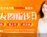全网千万人气导师亲授：零基础/易上手的朋友圈赚钱攻略，让你轻松月入过万-第一资源库