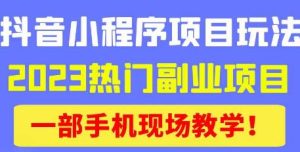 抖音小程序9.0新技巧,2023热门副业项目,动动手指轻松变现-第一资源库