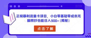 正规暴利流量卡项目，小白零基础零成本无脑照抄也能日入300+【揭秘】-第一资源库