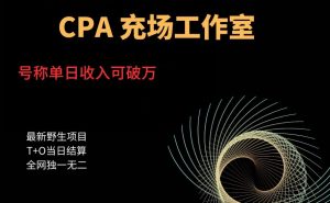 cpa充场工作室,号称单日收入10000+(揭秘)-第一资源库