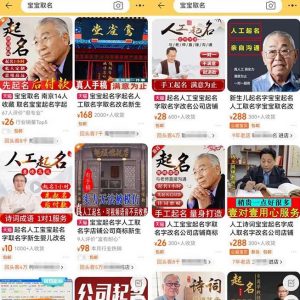 拆解小红书宝宝起名虚拟副业项目,一条龙实操玩法分享给你(教程+软件)-第一资源库