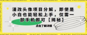 漫改头像项目分解,即使是小白也能轻松上手,仅需一部手机即可【揭秘】-第一资源库