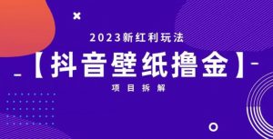 抖音壁纸小程序创作者撸金项目,2023新红利玩法【项目拆解】-第一资源库