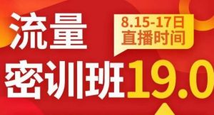 秋秋线上流量密训班19.0,打通流量关卡,线上也能实战流量破局-第一资源库