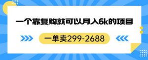一单卖299-2688,一个靠复购就可以月入6k的暴利项目【揭秘】-第一资源库