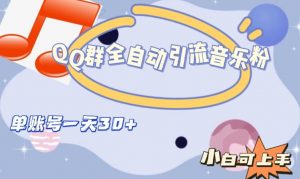 QQ群全自动引流音乐粉,单账号一天轻松引流30+-第一资源库