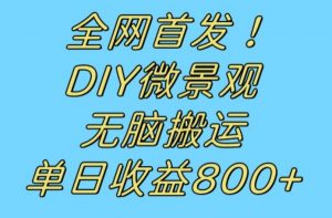 全网首发冷门赛道！DIY微景观，无脑搬运视频，日收益800+【揭秘】-第一资源库