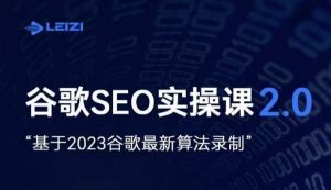 雷子·谷歌SEO 2.0实战课,独立站询盘自由必备,基于2023谷歌最新算法录制-第一资源库