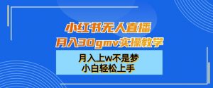 小红书无人直播月入30gmv实操教学,月入上w不是梦,小白轻松上手【揭秘】-第一资源库
