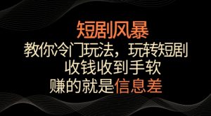 短剧风暴,教你冷门玩法,玩转短剧,收钱收到手软【揭秘】-第一资源库