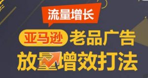 亚马逊流量增长-老品广告放量增效打法,循序渐进,打造更多TOP listing-第一资源库