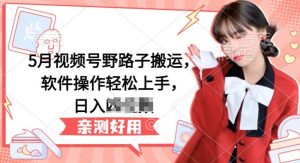 5月视频号野路子搬运,软件操作轻松上手,日入三位数【揭秘】-第一资源库