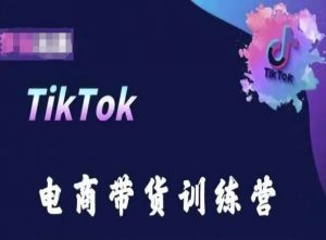 TikTok电商带货训练营,跟随时代潮流,跨境掘金-第一资源库