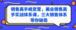 销售高手蜕变营,美业销售高手实战体系课,三大销售体系带你破局-第一资源库