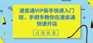 速卖通VIP新手快速入门班，手把手教你在速卖通快速开店-第一资源库