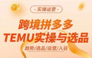 跨境拼多多TEMU实操与选品,多多temu跨境选品运营实操-第一资源库