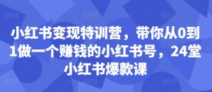 小红书变现特训营，带你从0到1做一个赚钱的小红书号，24堂小红书爆款课-第一资源库