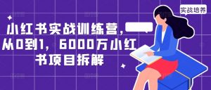 小红书实战训练营,从0到1,6000万小红书项目拆解-第一资源库