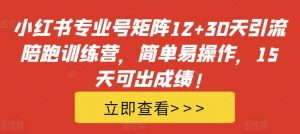 小红书专业号矩阵12+30天引流陪跑训练营,简单易操作,15天可出成绩!-第一资源库