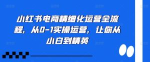 小红书电商精细化运营全流程,从0-1实操运营,让你从小白到精英-第一资源库