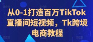 从0-1打造百万TikTok直播间短视频,Tk跨境电商教程-第一资源库