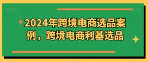 2024年跨境电商选品案例，跨境电商利基选品（更新11月）-第一资源库