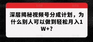 深层揭秘视频号分成计划,为什么别人可以做到轻松月入1W+?-第一资源库
