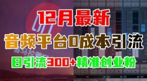 12月最新:音频平台0成本引流,日引流300+精准创业粉-第一资源库