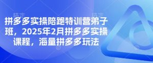 拼多多实操陪跑特训营弟子班，2025年2月拼多多实操课程，海量拼多多玩法-第一资源库