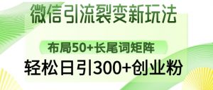 微信引流裂变新玩法:布局50+长尾词矩阵,轻松日引300+创业粉-第一资源库