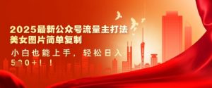 2025最新公众号流量主打法，美女图片简单复制，小白也能上手，轻松日入5张-第一资源库