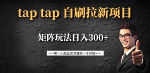 taptap拉新自刷项目，一个新用户14元，矩阵玩法日入300+-第一资源库