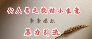 deepseek写农村小项目，条条爆款，暴力引流-第一资源库
