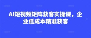 AI短视频矩阵获客实操课，企业低成本精准获客-第一资源库