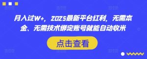 月入过W+,2025最新平台红利,无需本金、无需技术绑定账号就能自动收米-第一资源库